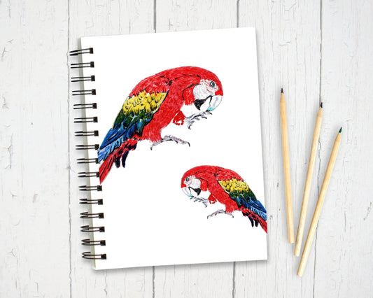 Parrot Notebook | Parrot Gift