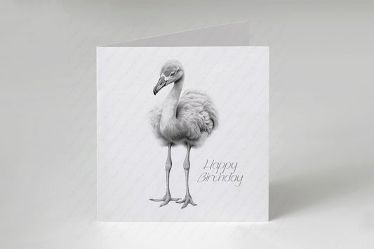 Flamingo Birthday Card - Personalised Flamingo Card