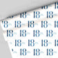 18th Birthday Wrapping Paper - Pink or Blue