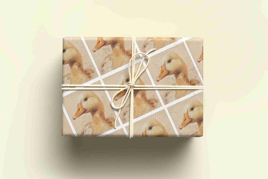 Duck Wrapping Paper