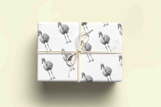 Sketchy Flamingo Wrapping Paper - For any occasion