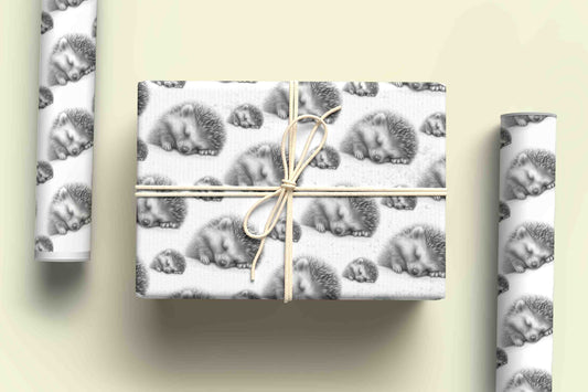 Hedgehog Wrapping Paper