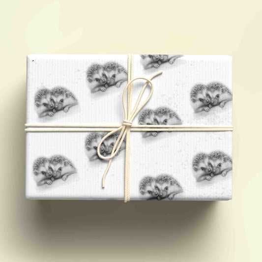 Sketchy Hedgehog Wrapping Paper - For any occasion