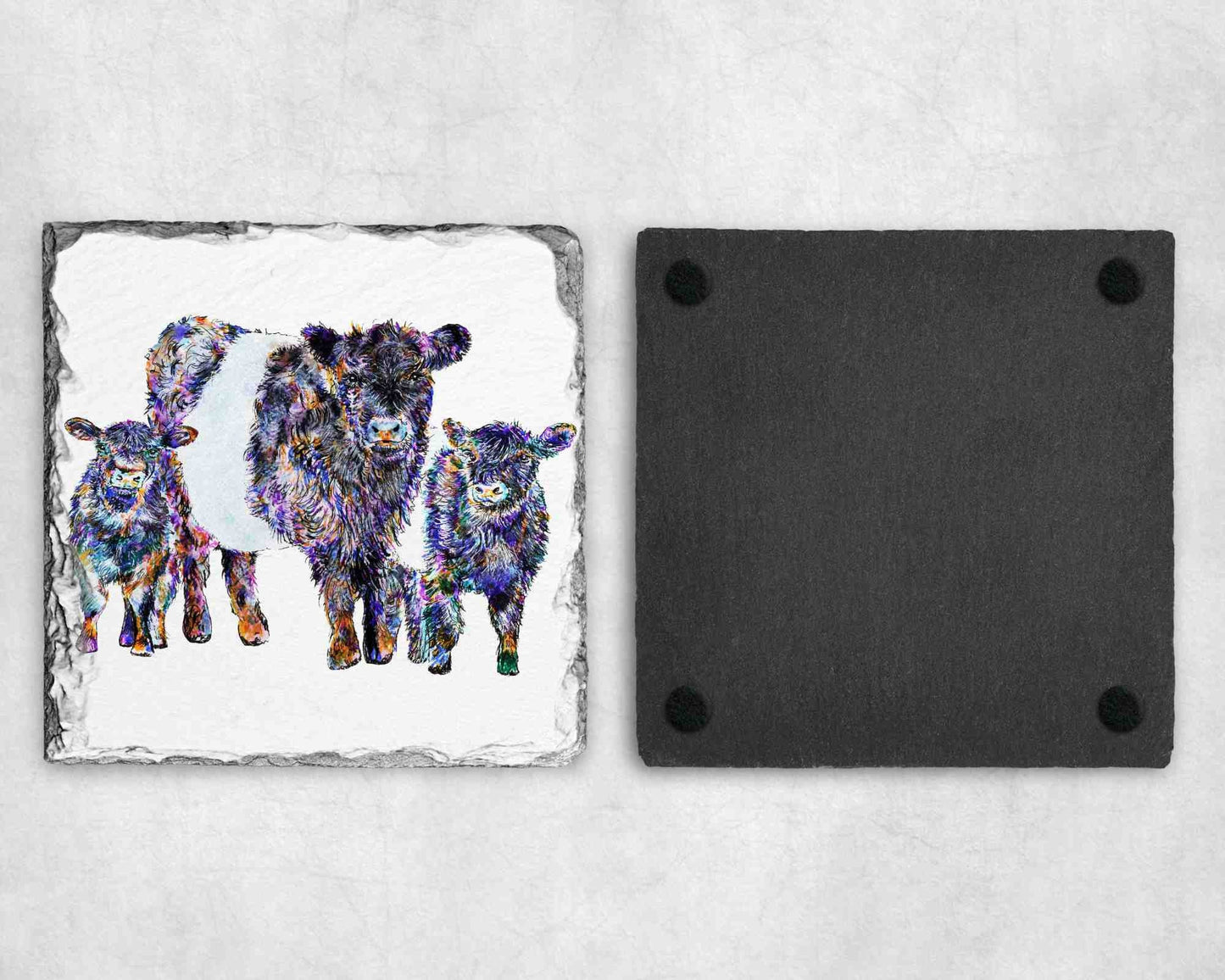 Belted Galloway Cow Slate Coaster, Personalised Coaster, Belted Galloway Gift