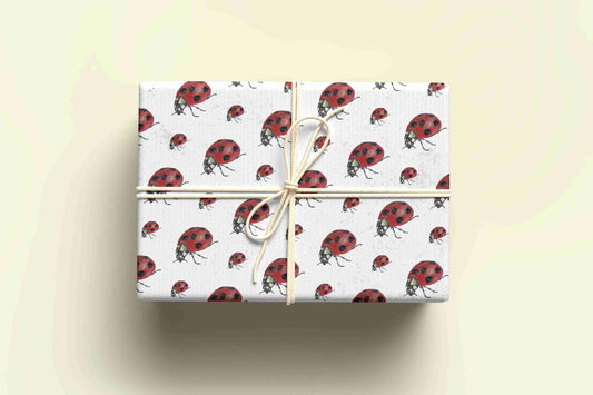 Ladybird Wrapping Paper - For any occasion