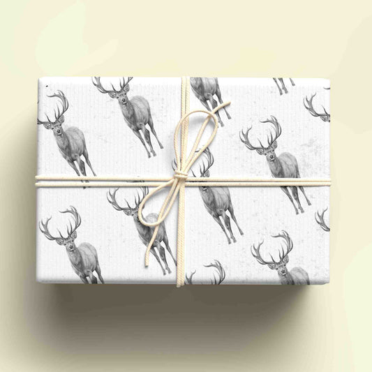 Sketchy Stag Wrapping Paper - For any occasion