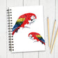 Parrot Notebook | Parrot Gift